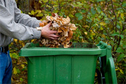 Leaves being thrown into a J and J Sanitation trash bin.